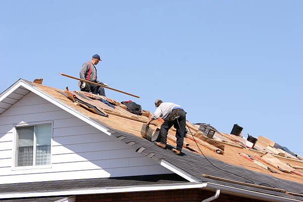 Best Roof Ventilation Installation  in Keene, TX